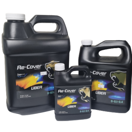 UBER Re-Cover Group